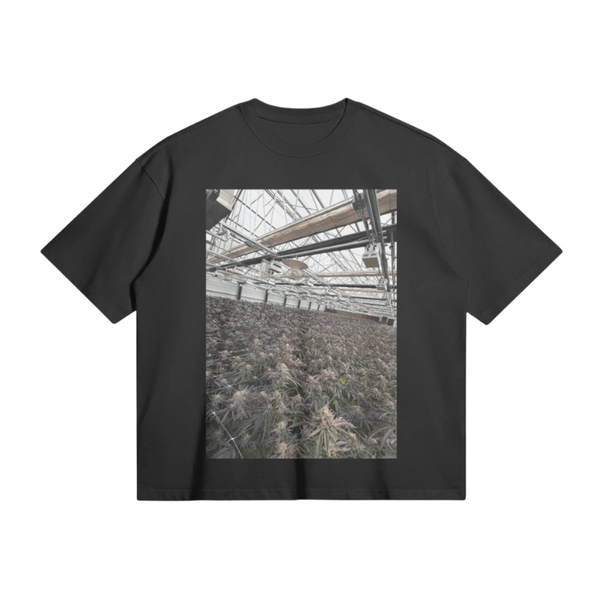 WHERE THEY AT NOW TEE